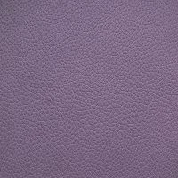 Aurora 15 Purple